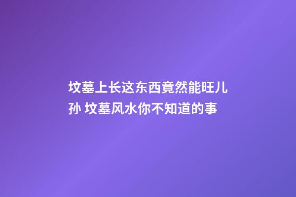 坟墓上长这东西竟然能旺儿孙 坟墓风水你不知道的事